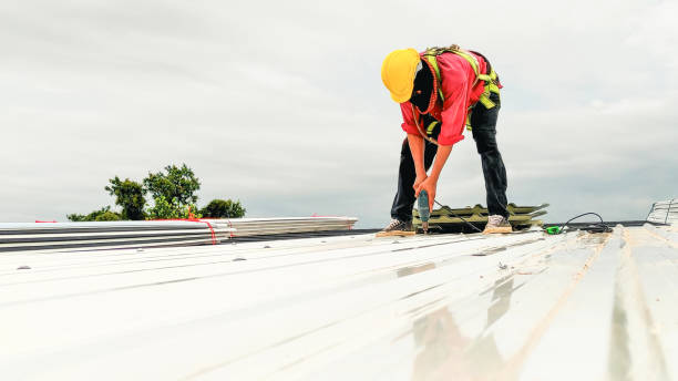 Best Sheet Metal Roofing  in Monticello, MN