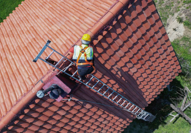 Best Roof Maintenance and Cleaning  in Monticello, MN